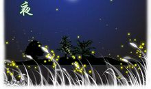 夏夜_400字