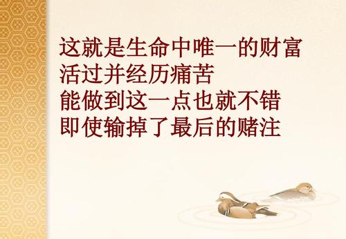阅读后热爱生活