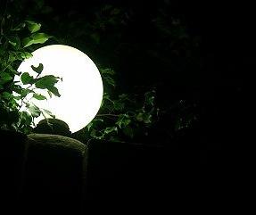 中秋节之夜