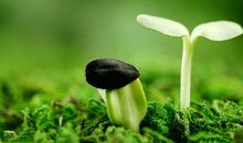 未来掌握在您的手中