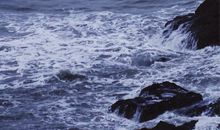 付出总会有回报