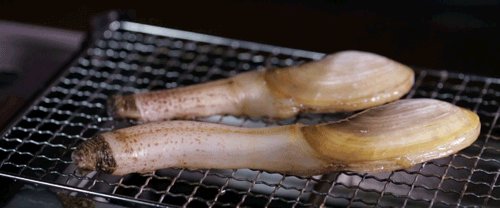 生活就像蛤lam