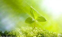 爱上你的正能量