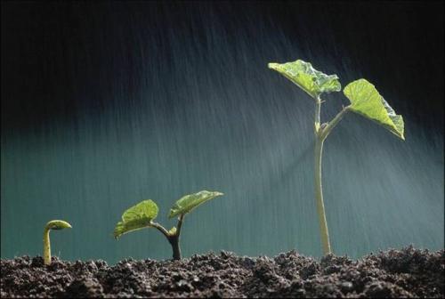 雨滴