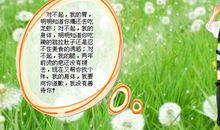 真的说声对不起