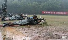 迎着风雨茁壮成长