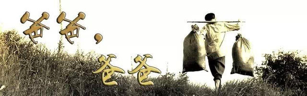 父亲的爱感动人心