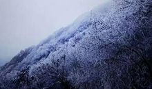 打动我的一场雪