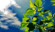 心中的那道阳光