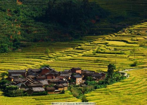 农村的美丽景色