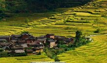 农村美丽的景色