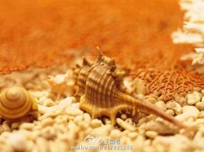 付出总是比获得幸福更好