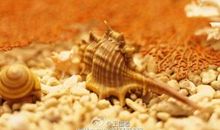 付出，永远比得到幸福