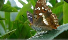 回家的感觉_500字