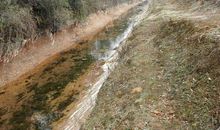 付出生命的美丽