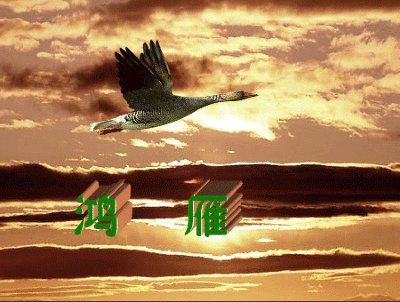 当风吹来，青春的声音