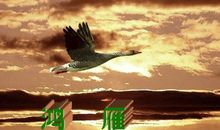 风起时，那青春的声音