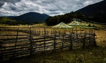 留一片宁静的田园