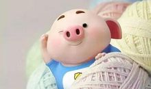 初二遐想_1500字