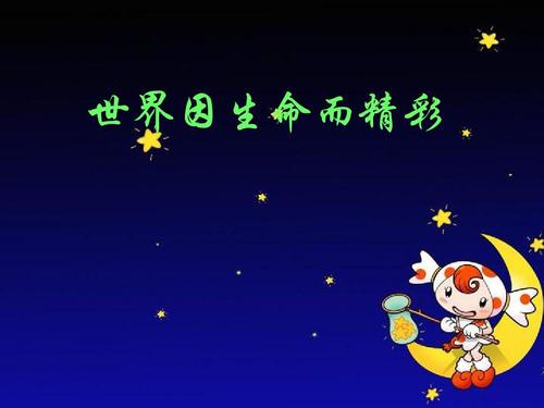 美妙的生活
