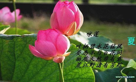 让清澈的泉水浇灌灵魂