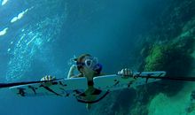 用眼泪种下天堂