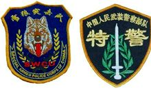 中国的“权威”文化