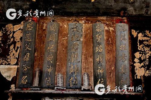文化瑰丽