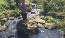 童年小溪缓缓淌