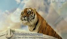 令我恐惧的几分钟