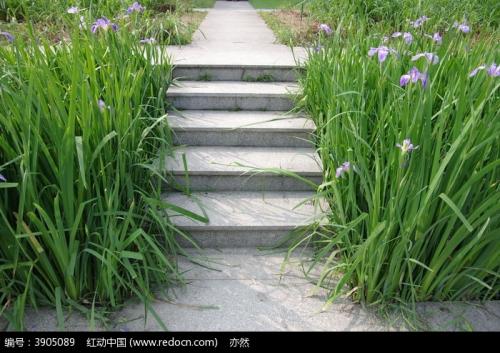 在公园里