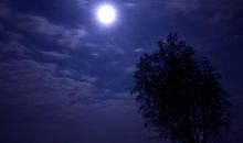 中秋节之夜_200字