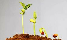 请相信理想的力量