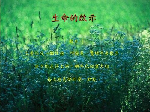 生活的启示