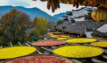 丰收之季——秋