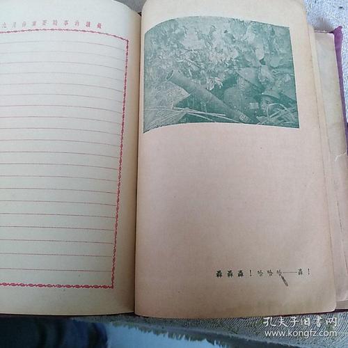 一些语音日记_300个单词