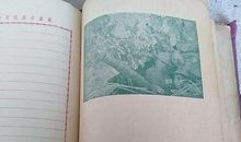 一些心声日记_300字