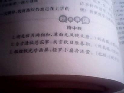 好时机，好句子：好时机，好句子_700字