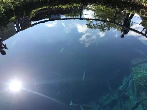 沉浸在书中的忧郁