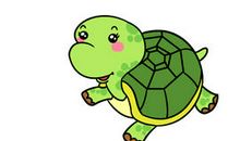 可爱的乌龟