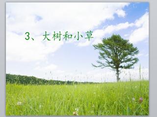小草大树