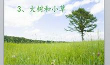 小草与大树