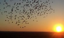 一份耕耘一份收获