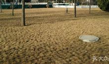 美丽的永安公园