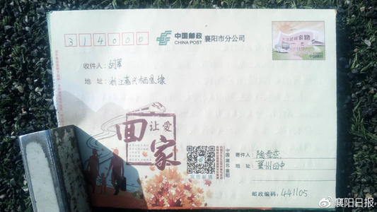 小姐信纸