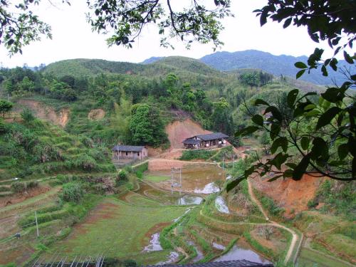 我家乡的土地