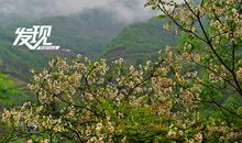 寻找着，我记忆中的春