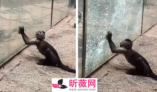 粉碎玻璃