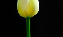 善于做人做学问