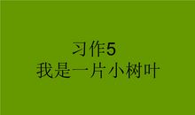 我是一片小树叶